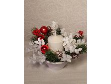 ���03-1 ����������