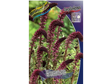 110,4���. ��������� ������(�������� ���� �� 1 ��., ����������� ����� 1��.).jpg