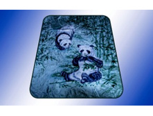 �����, 2011.jpg