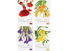 ������� �6 32�. �� ������� ������. Bright flower 8,17.jpg