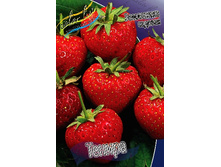 30,7���. ��������� ������� ������(���������� ������ ������ ���������� �� 5 ��.).jpg