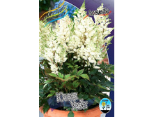 93,8���. �������� ���� ����(�������� ���� �� 1 ��., ����������� ����� 1��.).jpg