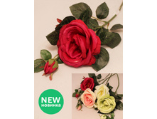 401/4264L ����