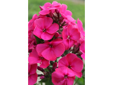 106,6���. ����� ����- ��� ������(�������� ���� �� 2 ��., ����������� ����� 1��.)���15.jpg