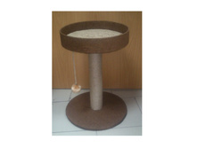 �� 520 ��� ���������� 55�� "��������" ������� � �������