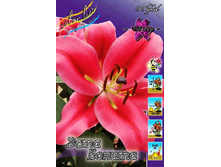 27,94���. ����� ���� ������(�������� ���� �� 7 ��., ����������� ����� 1��.).jpg