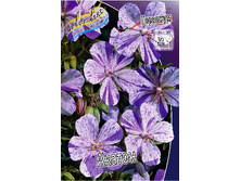 105,4���. �������� ������(�������� ���� �� 1 ��., ����������� ����� 1��.).jpg