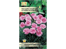 �������� ������� ������� �������� 5�� 13.jpg