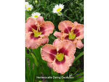 118,6���. �������� ������ �������(�������� ���� �� 1 ��., ����������� ����� 1��.)���16.jpg