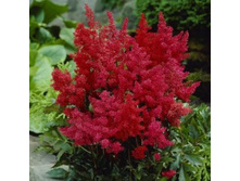 �������� ������� ������.jpg