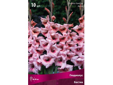 ��������� ������� ������.jpg