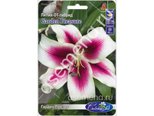 ������ ������.jpg