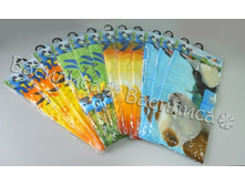 ��������� ����� ���.JPG