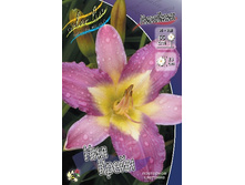 122���. �������� ��� �����(�������� ���� �� 1 ��., ����������� ����� 1��.).jpg