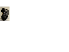 ����������4.png