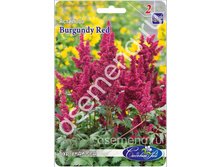 �������� ���.jpg