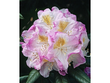 301���. ����������� ��������� �������.jpg