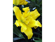 34,86���. ����� ������(�������� ���� �� 7 ��., ����������� ����� 1��.)���15.jpg