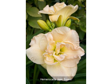 180���. �������� ����� ����(�������� ���� �� 1 ��., ����������� ����� 1��.).jpg