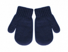 55d9cec43aa22 a37101-18.10 chernika.jpg