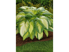 263���. ����� ����������� ������(�������� ���� �� 1 ��., ����������� ����� 1��.)���16.jpg