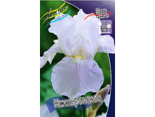 95,3���. ���� ���������� �����������(�������� ���� �� 2 ��., ����������� ����� 1��.).jpg