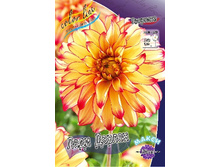 84,8���. �������� ���� ������(�������� ���� �� 1 ��., ����������� ����� 1��.).jpg