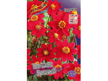 70,9���. �������� ��� ���� �������(�������� ���� �� 1 ��., ����������� ����� 1��.).jpg