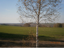 ��� ��� ���...