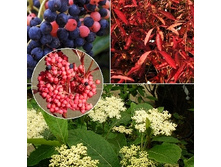 156���. ������ ���������� ���� �����.jpg