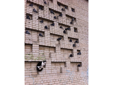 ����������