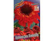 282,9���. �������� �������� �������(�������� ���� �� 1 ��., ����������� ����� 1��.).jpg