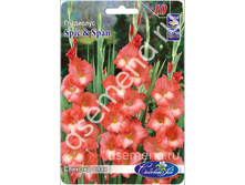 ���� ��� ����.jpg