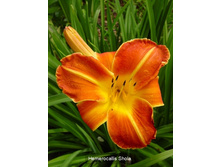 118,6���. �������� ����(�������� ���� �� 1 ��., ����������� ����� 1��.)���16.jpg