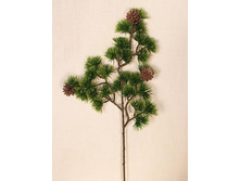 403/7929� ����� �����