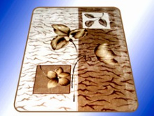 �������, 7083.jpg