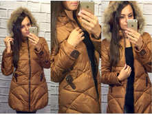 ���������� ������ � ��������� ��� ���� �������� -1659- 2490 ���.