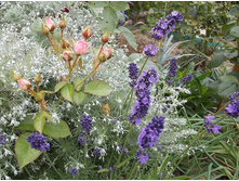 ������� ����������