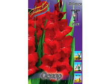 9,9���. ��������� �����(���������� ������ ������ ���������� �� 7 ��.).jpg