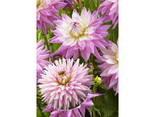 94���. �������� ����� ������(�������� ���� �� 1 ��., ����������� ����� 1��.)���15.jpg