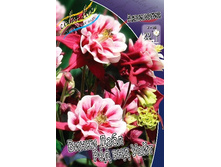 81,7���. ��������� ����� ���� ��� ��� ����(�������� ���� �� 2 ��., ����������� ����� 1��.).jpg