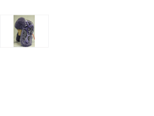 ����������12.png