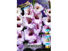 8,91���. ��������� �������(���������� ������ ������ ���������� �� 8 ��.).jpg