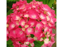 148���. ��������� �������������� ��������.jpg