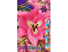 34,8���. ����� �����(�������� ���� �� 5 ��., ����������� ����� 1��.).jpg