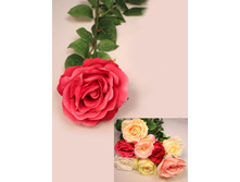 401/0446� ���� - 125 ������ 25%