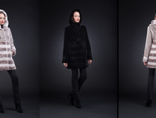 �������. 40-54