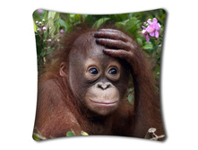 ������� �������� (����������)+ html 4241a16e.jpg