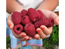 190���. ������ �����.jpg