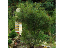 167���. ������� ����������� ������������.jpg